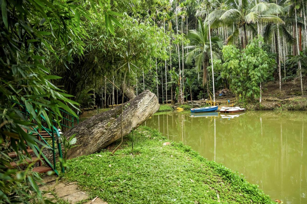 Bamboo Creek Resort Vaduvanchal Eksteriør bilde